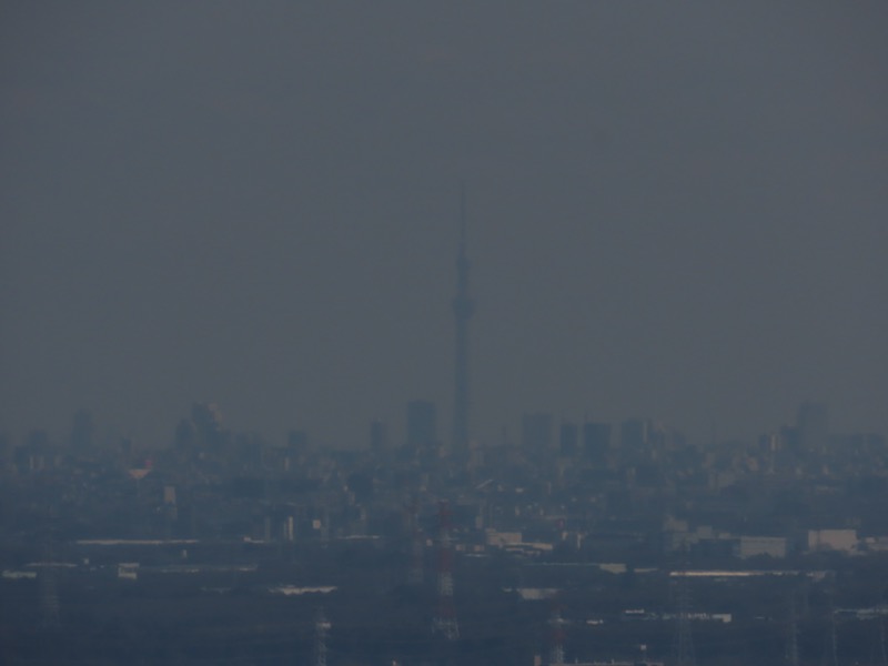 日和田山、物見山